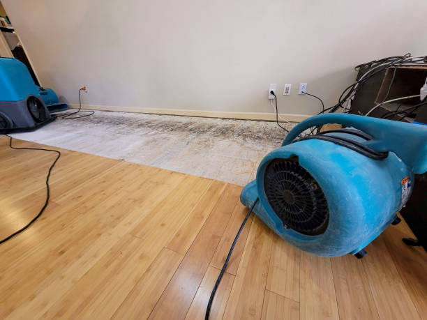 Professional Burst Pipe Water Damage technician working in Dublin, CA